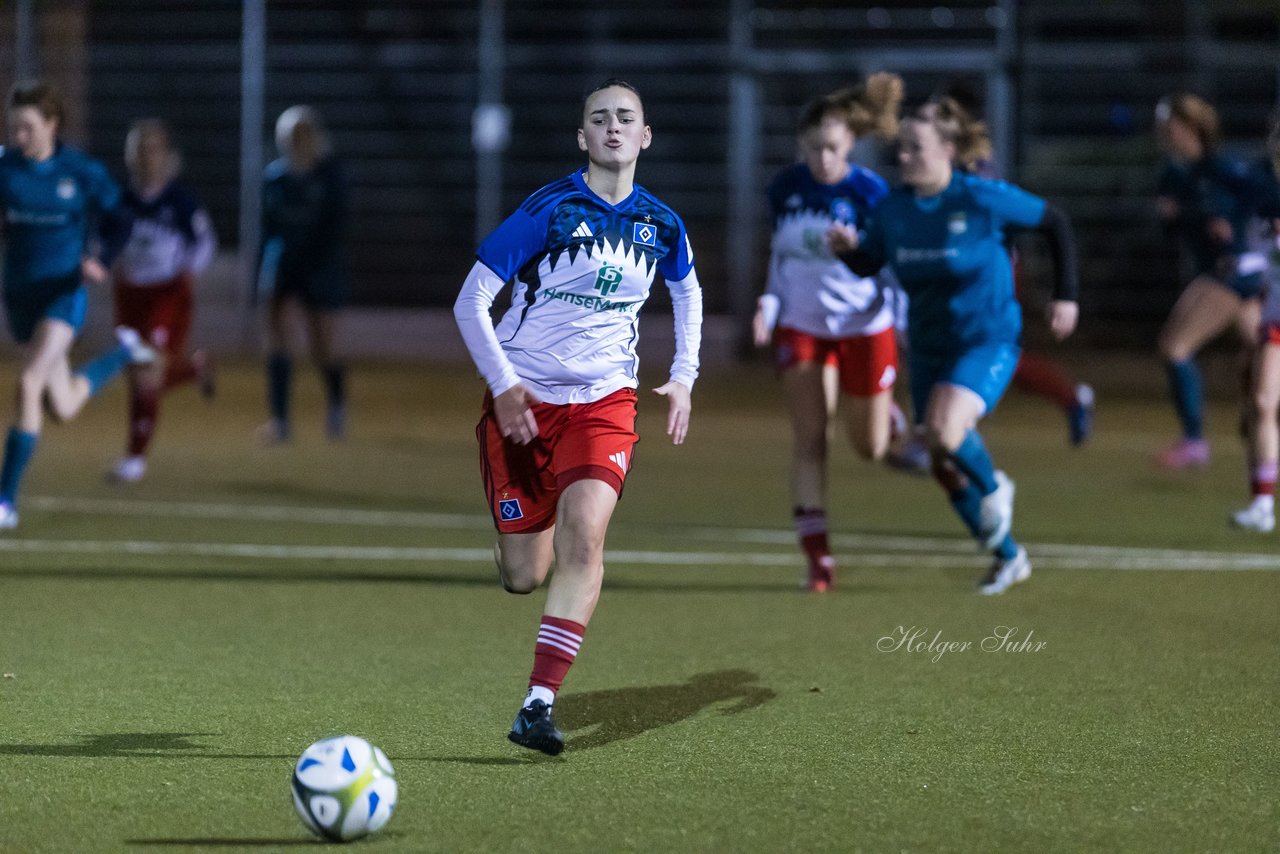 Bild 349 - F SC Alstertal-Langenhorn - Hamburger SV 3 : Ergebnis: 2:2
